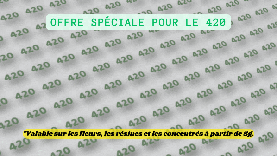 COMMANDE DOUBLÉE 420